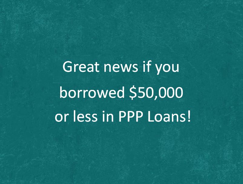 PPP Loan Great News Form 3508S